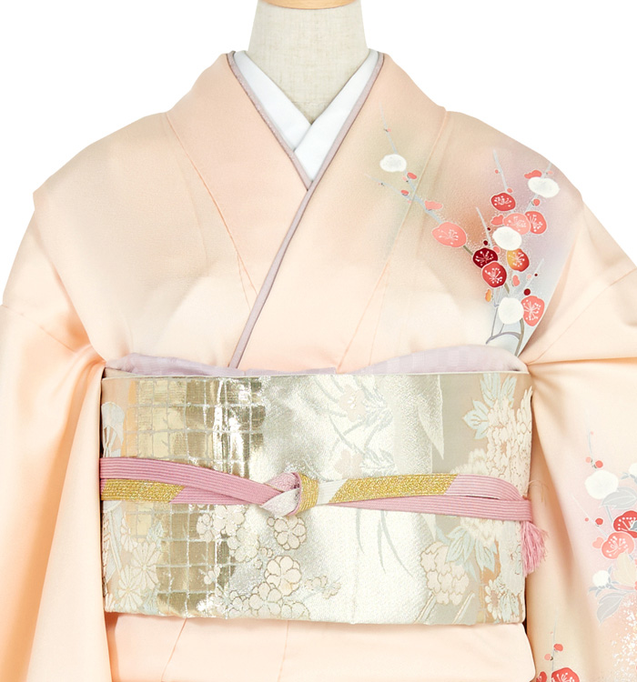 訪問着 No.AA-4354-Sサイズのレンタル｜きもの365