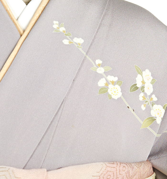 訪問着 No.AA-4606-Mサイズのレンタル｜きもの365