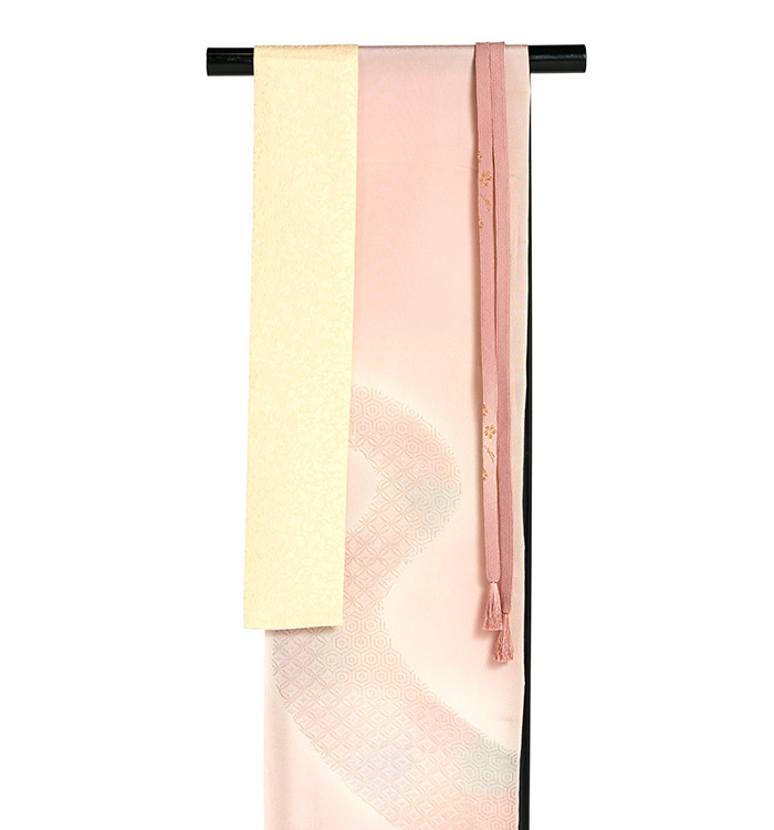 訪問着 No.AA-4606-Mサイズのレンタル｜きもの365