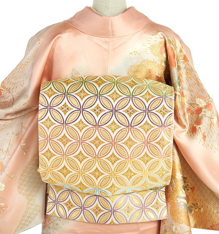 帯・逸品】芸能人着用柄 訪問着 No.AA-4625-Mサイズのレンタル｜きもの