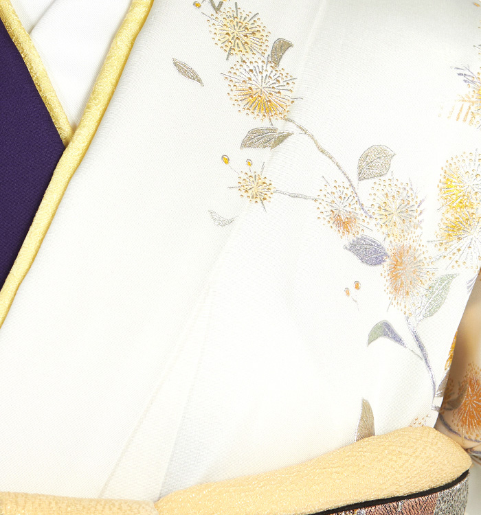 和田光正 訪問着 No.AA-4674-Mサイズ_09