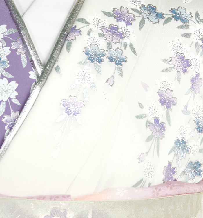 和田光正 訪問着 No.AA-4675-Mサイズ_09