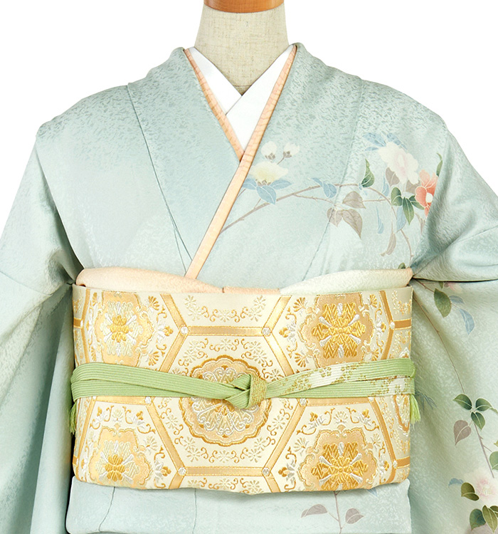 訪問着 No.AA-4705-Mサイズのレンタル｜きもの365