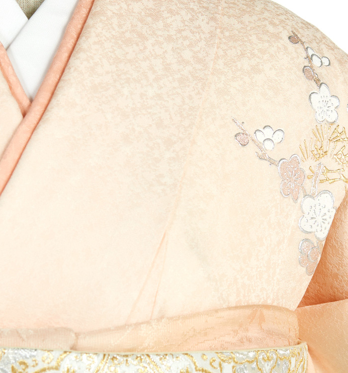 和田光正 訪問着 No.AA-4795-Mサイズ_07