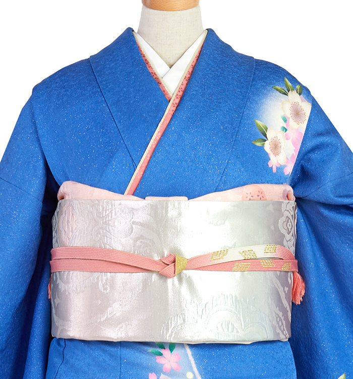 訪問着 No.AA-4800-Lサイズのレンタル｜きもの365