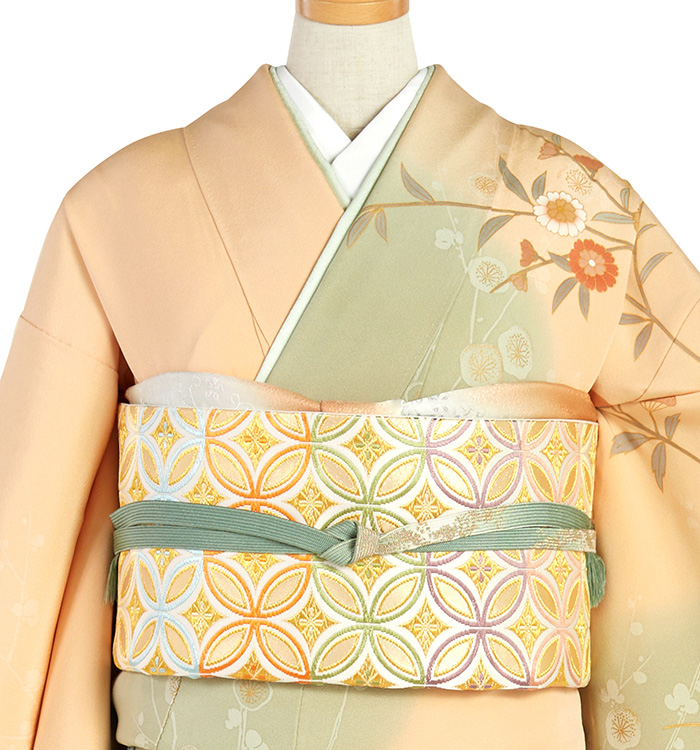 帯・逸品】芸能人着用柄 訪問着 No.AA-4806-Sサイズのレンタル｜きもの