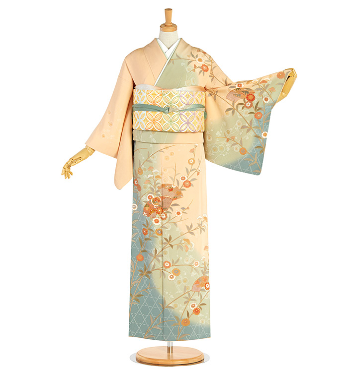 帯・逸品】芸能人着用柄 訪問着 No.AA-4806-Sサイズのレンタル｜きもの