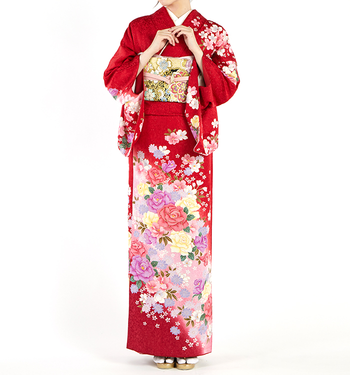 訪問着 No.AA-4988-Lサイズの通販｜きもの365