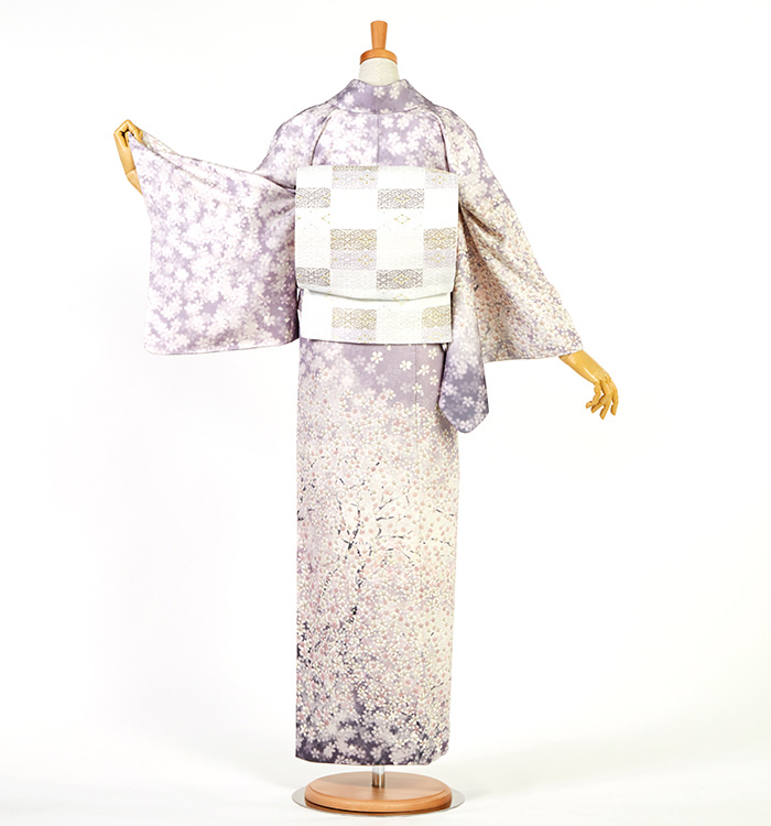 芸能人着用柄 訪問着 No.AA-5145-Mサイズのレンタル｜きもの365