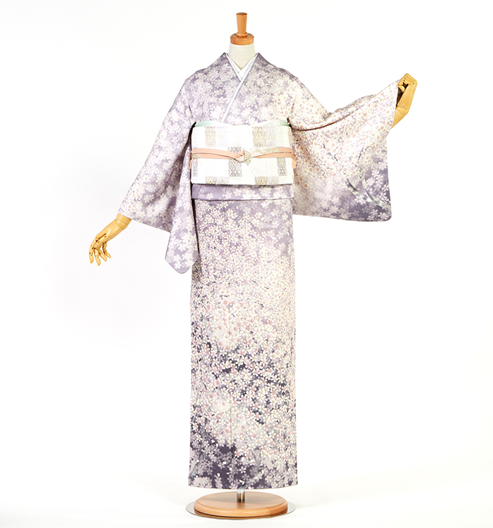 芸能人着用柄 訪問着 No.AA-5145-Mサイズのレンタル｜きもの365