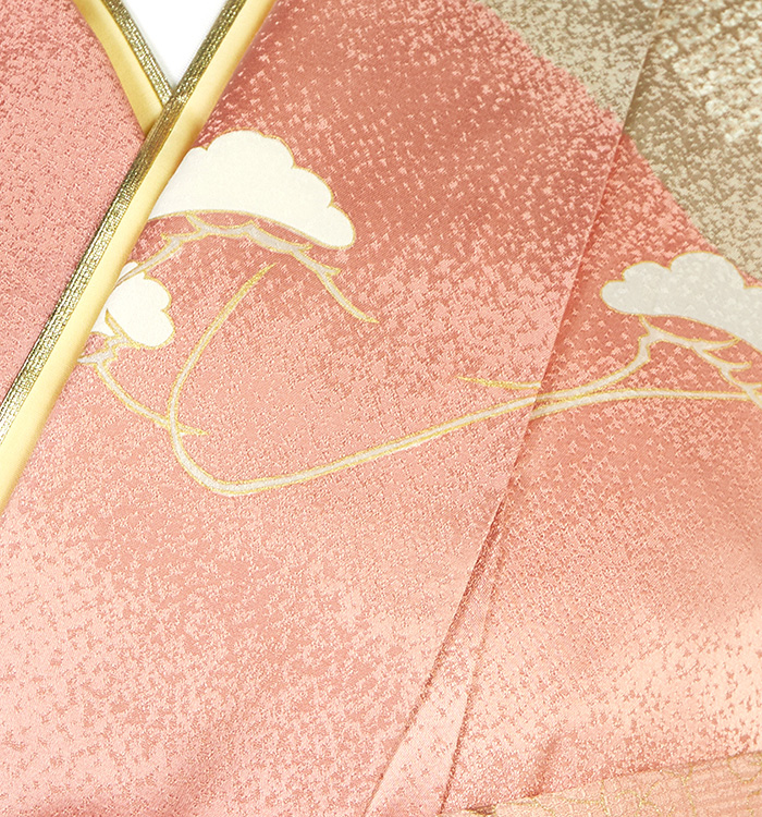 訪問着 No.AA-5179-Mサイズのレンタル｜きもの365