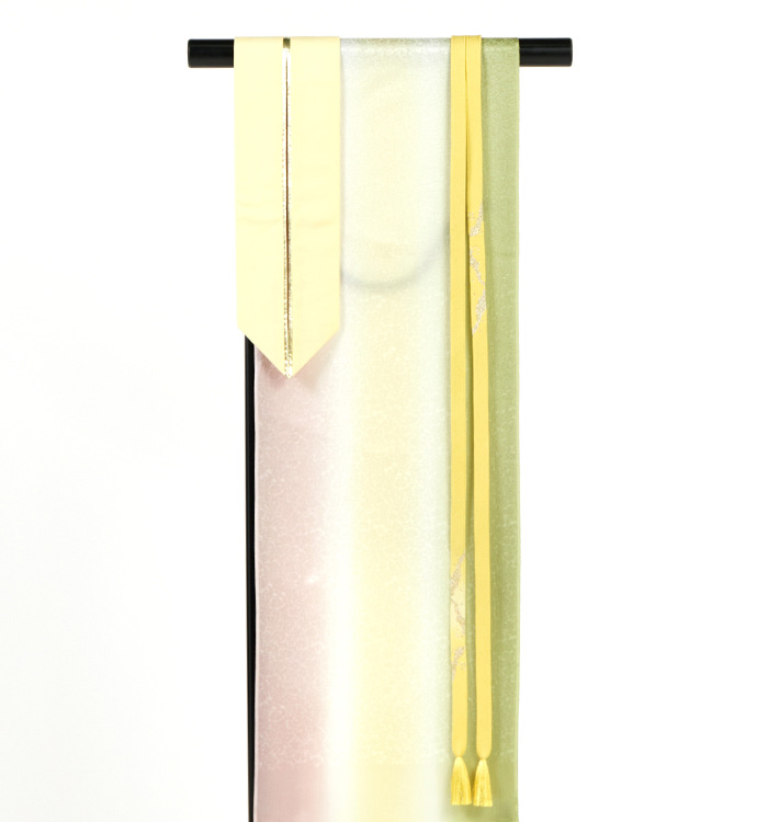 訪問着 No.AA-5248-ワイド-LOサイズのレンタル｜きもの365