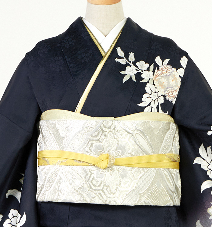 訪問着 No.AA-5248-ワイド-LOサイズのレンタル｜きもの365