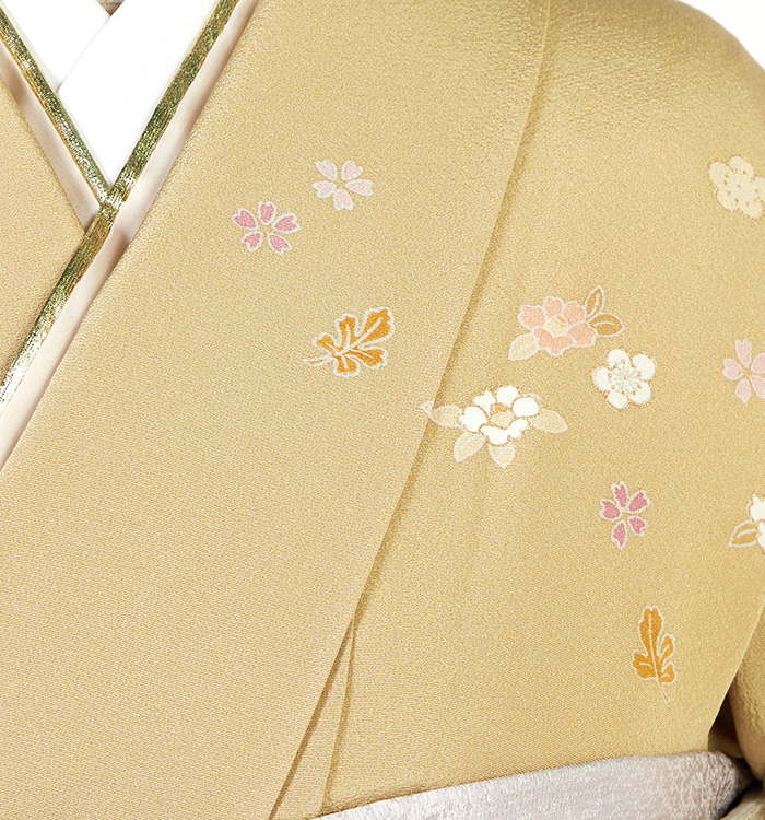 訪問着 No.AA-5261-Mサイズの通販｜きもの365