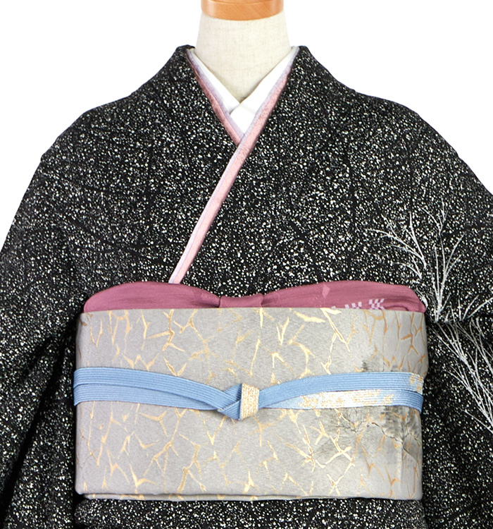 今井喜三郎 訪問着 No.AA-5265-ワイド-LOサイズのレンタル｜きもの365