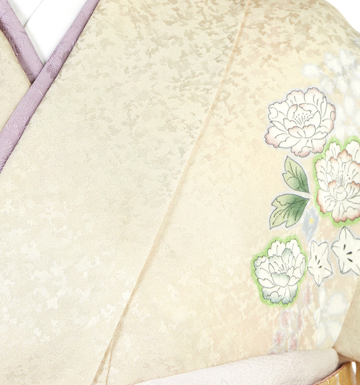 桂由美 訪問着（専用襦袢付）No.AA-5291-ワイド-MOサイズのレンタル