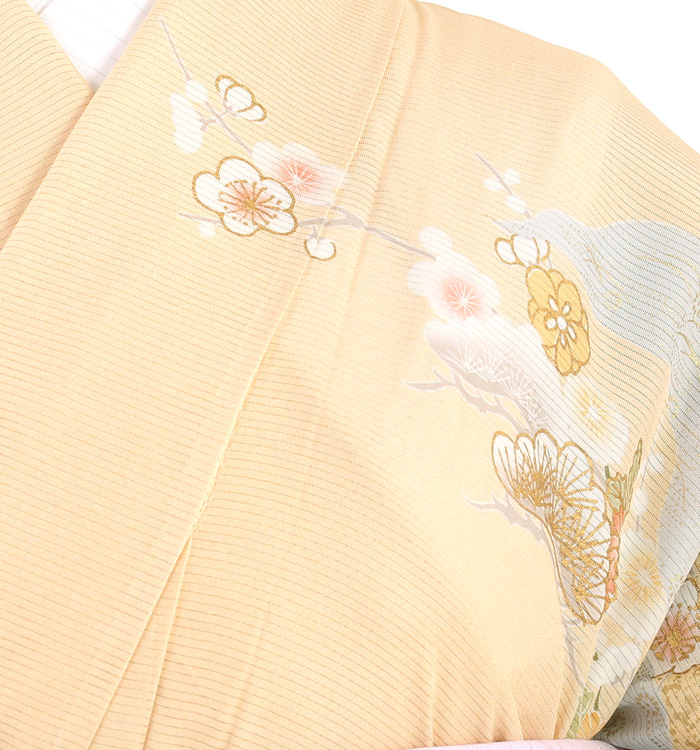 夏訪問着 No.AB-3414-Mサイズのレンタル｜きもの365
