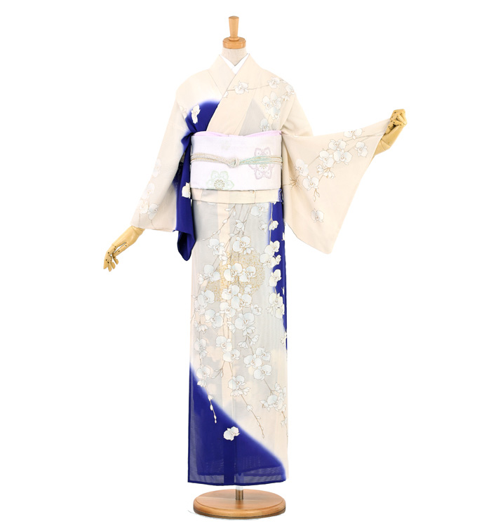 夏訪問着 No.AB-3423-Lサイズのレンタル｜きもの365