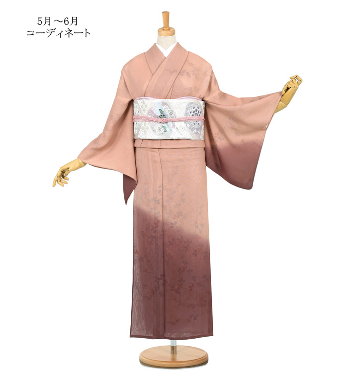 紗合わせ 訪問着 No.AC-2427-Sサイズ