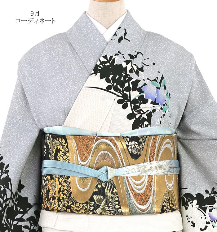 単衣訪問着 No.AC-3406-Mサイズのレンタル｜きもの365