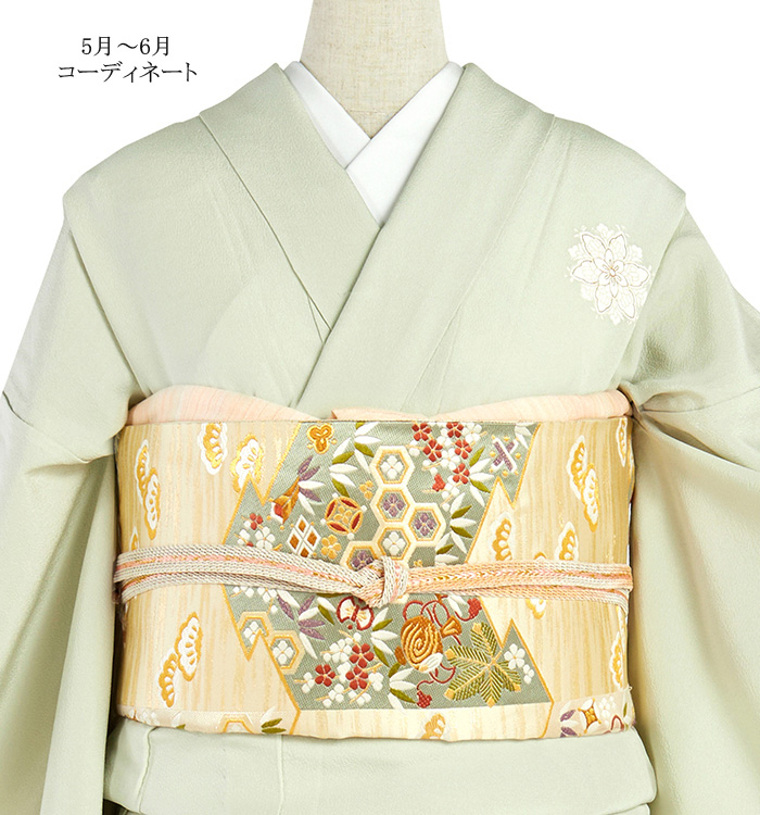 単衣　訪問着　Sサイズ 単衣訪問着 No.AC-4346-ワイド-LOサイズのレンタル｜きもの365