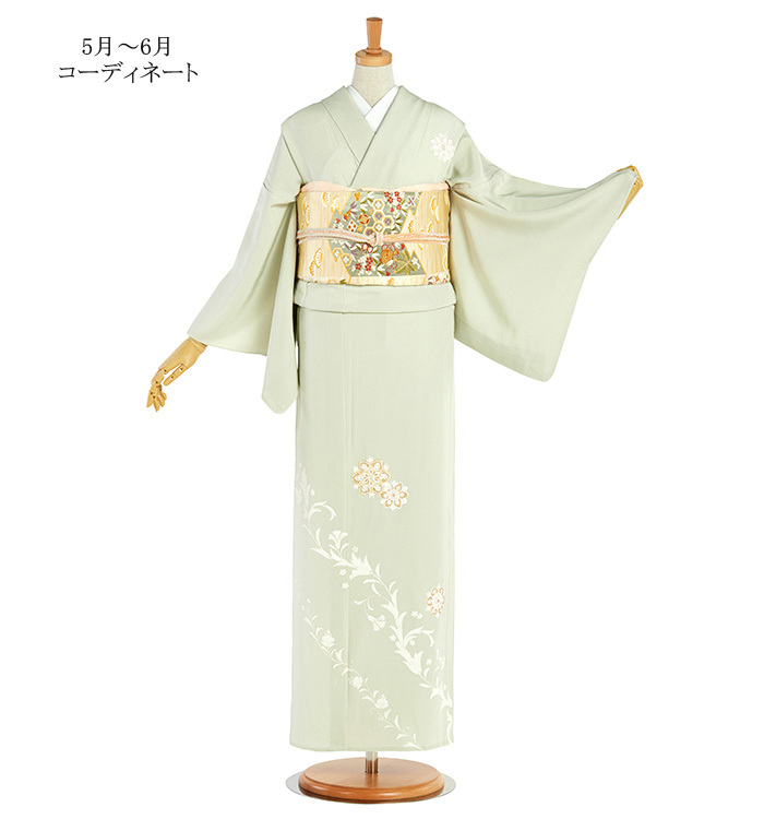 単衣訪問着 No.AC-4346-ワイド-LOサイズのレンタル｜きもの365