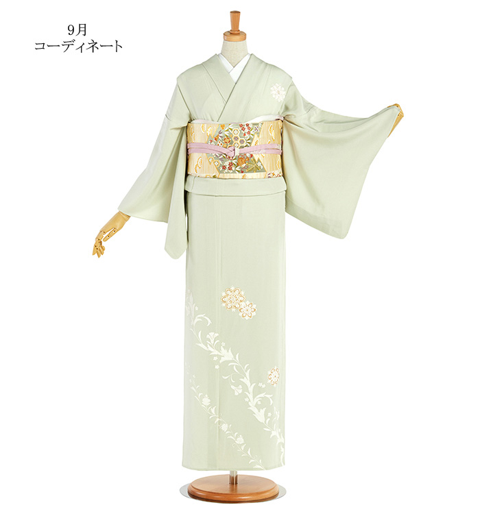 単衣訪問着 No.AC-4346-ワイド-LOサイズのレンタル｜きもの365