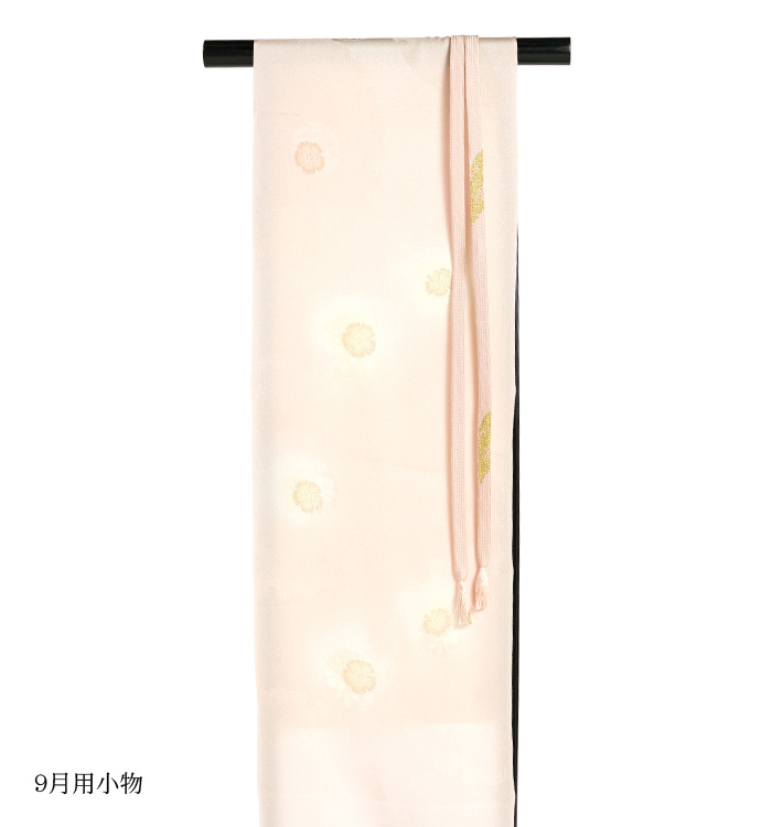 単衣訪問着 No.AC-4368-Mサイズのレンタル｜きもの365