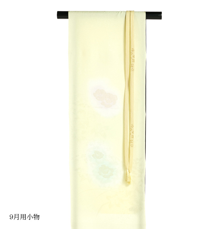 一つ紋 単衣訪問着 No.AC-4371-Sサイズのレンタル｜きもの365