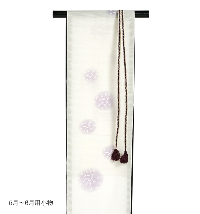 (4591)  ❃  訪問着  ❃ 単衣訪問着 No.AC-4591-Sサイズのレンタル｜きもの365