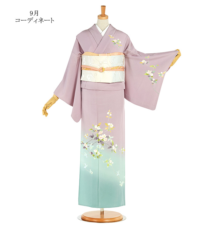 単衣訪問着 No.AC-4591-Sサイズ_02