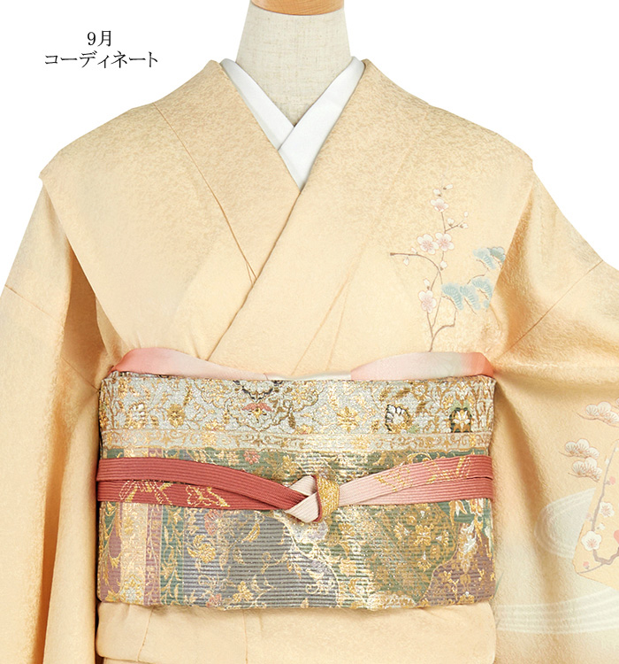 単衣訪問着 No.AC-4668-Mサイズのレンタル｜きもの365