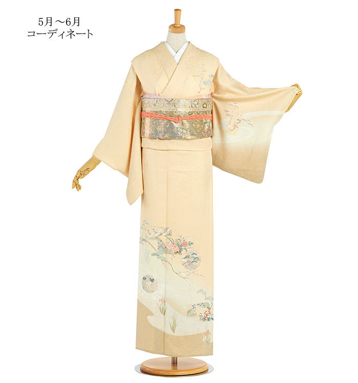 単衣訪問着 No.AC-4668-Mサイズのレンタル｜きもの365