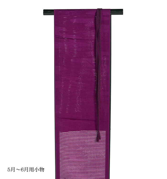 単衣訪問着 No.AC-4749-Lサイズ_07