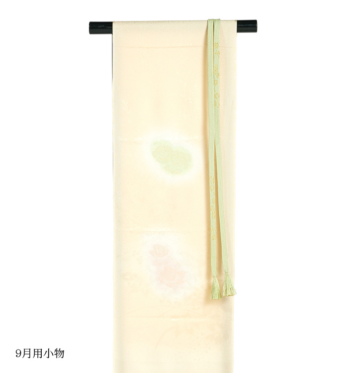 単衣訪問着 No.AC-4749-Lサイズ_08