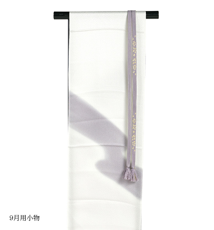 単衣訪問着 No.AC-4764-Lサイズ_08