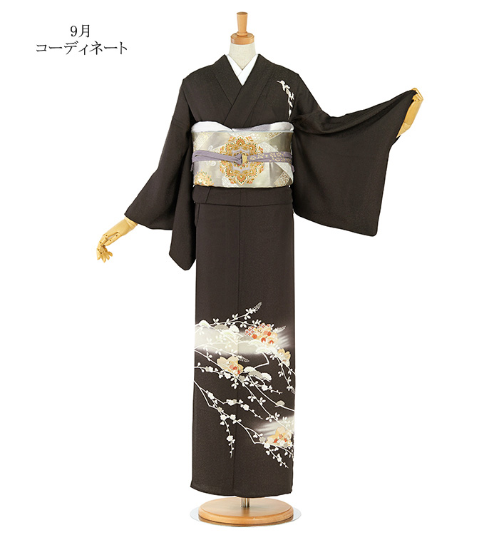 単衣訪問着 No.AC-4764-Lサイズのレンタル｜きもの365