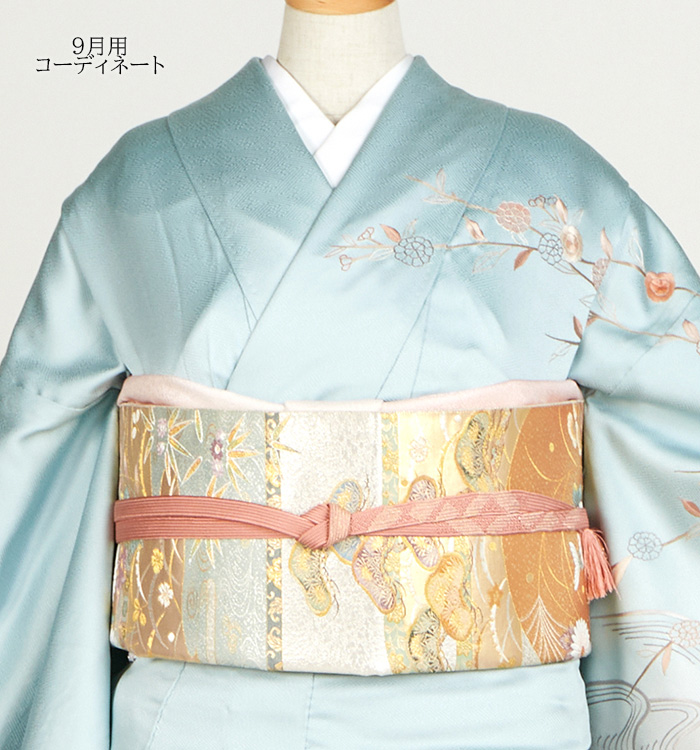 総刺繍 単衣訪問着 No.AC-4850-Mサイズのレンタル｜きもの365