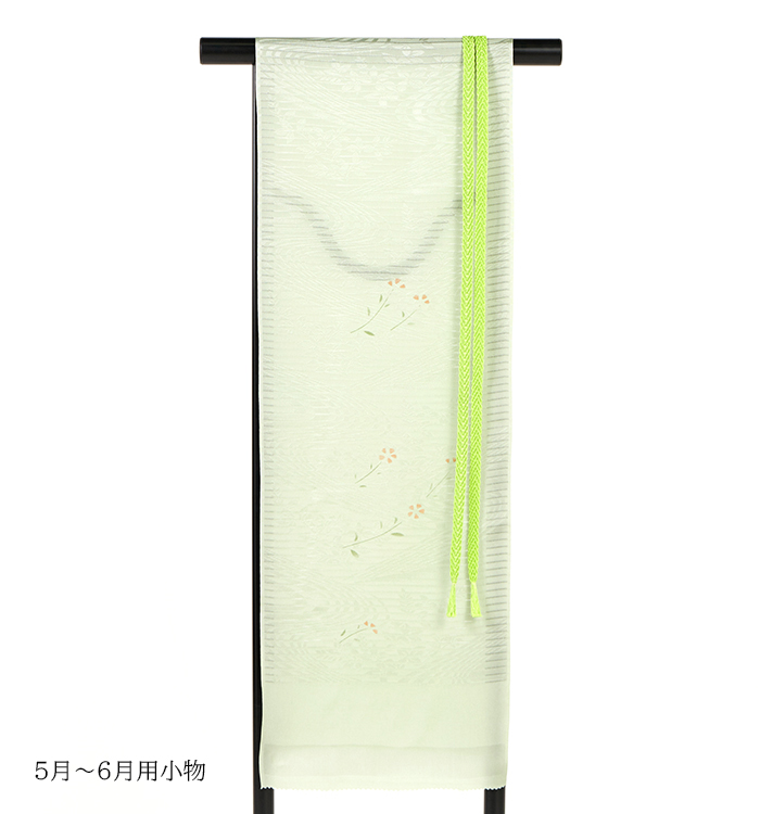 【帯・逸品】初代松井青々 単衣訪問着 No.AC-5333-Lサイズ_12