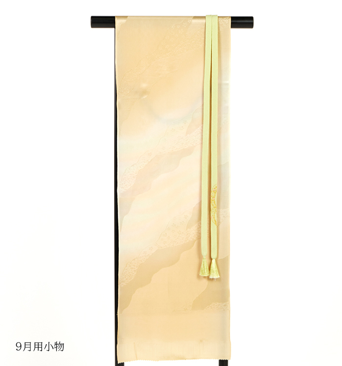 【帯・逸品】初代松井青々 単衣訪問着 No.AC-5333-Lサイズ_13