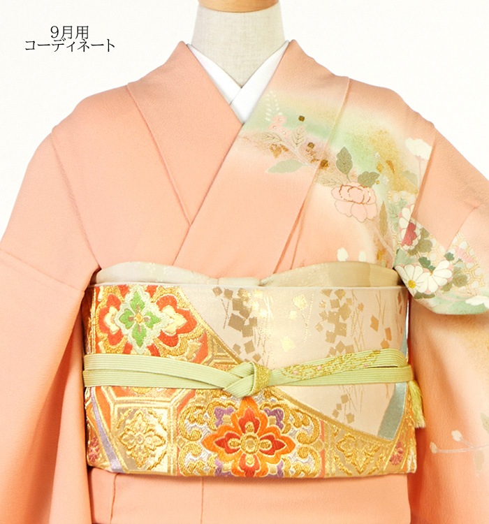 【帯・逸品】初代松井青々 単衣訪問着 No.AC-5333-Lサイズ_03