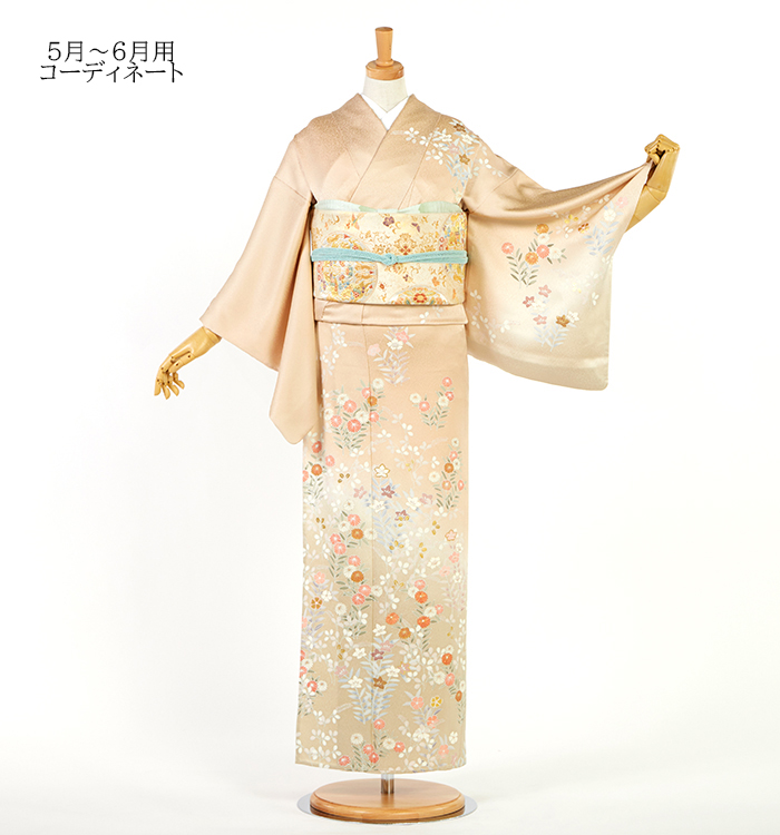 帯・逸品】単衣訪問着 No.AC-5334-Sサイズのレンタル｜きもの365