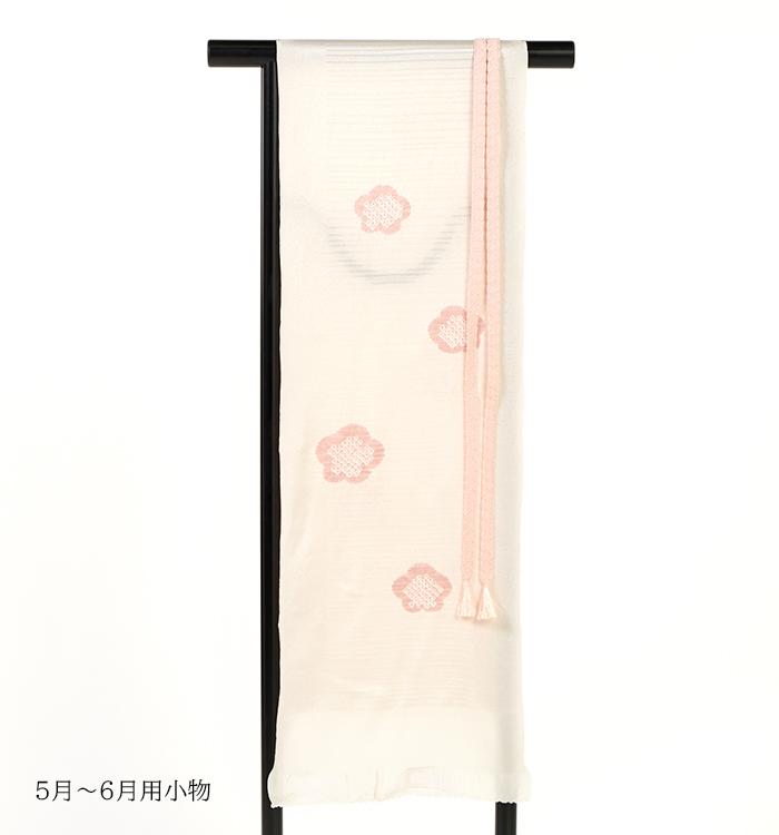 【帯・逸品】単衣訪問着 No.AC-5335-Sサイズ_12