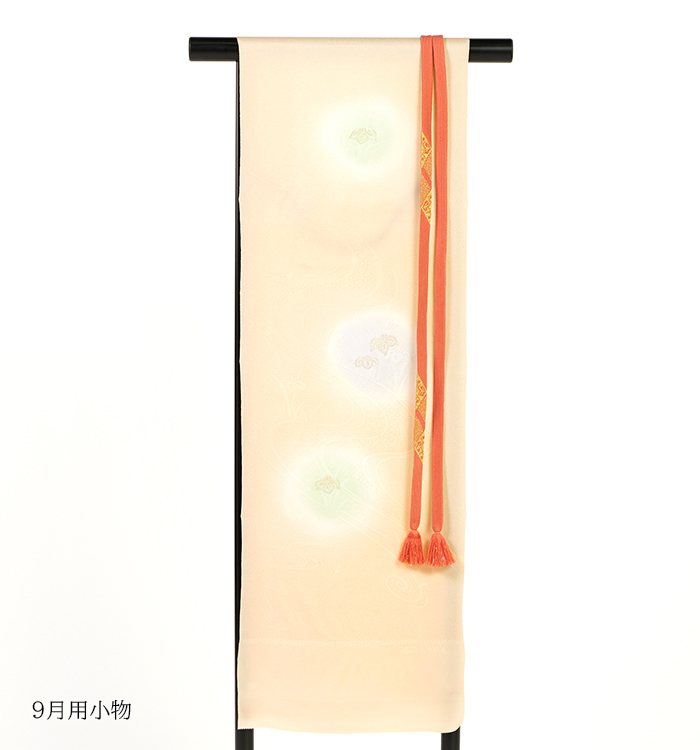 【帯・逸品】単衣訪問着 No.AC-5335-Sサイズ_13