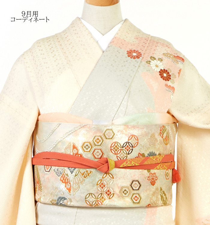 【帯・逸品】単衣訪問着 No.AC-5335-Sサイズ_03