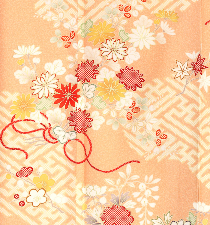 JAPAN STYLE 訪問着 No.AE-2374-Mサイズ_05