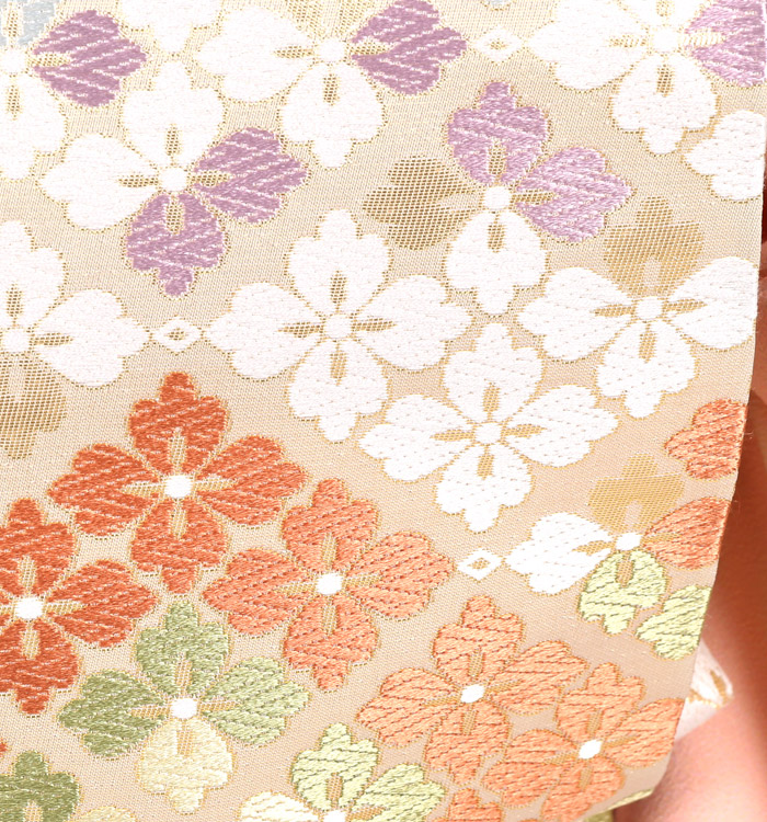 JAPAN STYLE 訪問着 No.AE-2395-Mサイズ_08