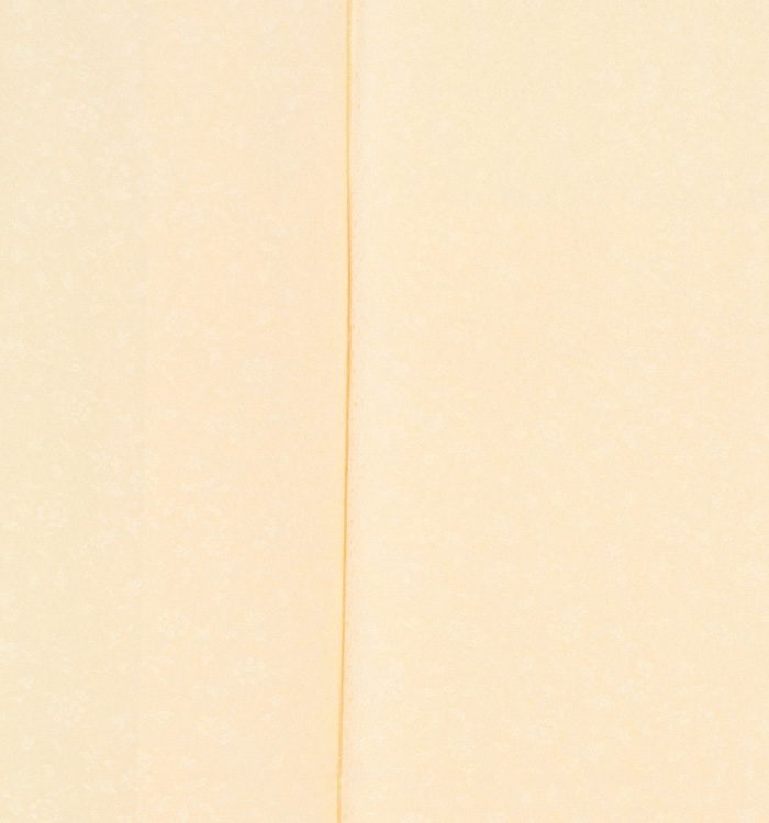 色無地 No.BA-0127-Mサイズ_06