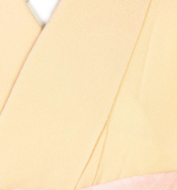 色無地 No.BA-0140-Lサイズ_06