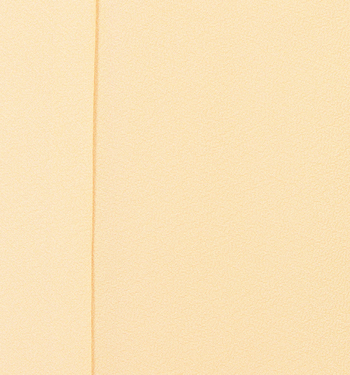 色無地 No.BA-0140-Lサイズ_03